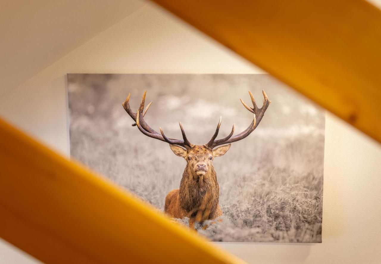 Apartmenthaus Matri By Pferd Auf Wolke Wald am Arlberg Kültér fotó